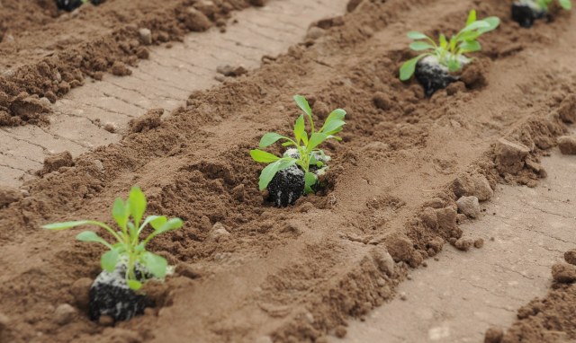 Forget politics: To save conservative values, fund universities instead