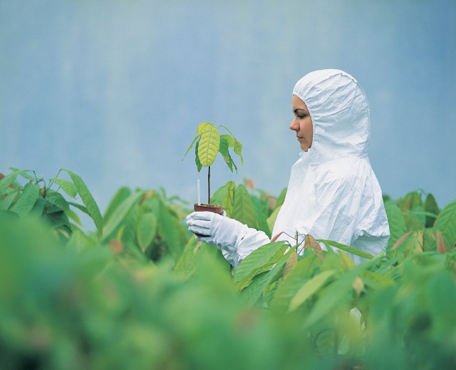 Why much of genetic engineering remains a mystery