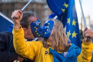Why I enjoyed sitting in a theatre full of Remainers