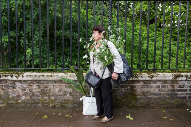 The aspidistra class: guardians of public civility and private decency. Credit: Rob Stothard / Getty
