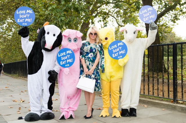 William Sitwell has just lost his job for mocking the the vegan brigade. Credit: Jeff Spicer / Getty