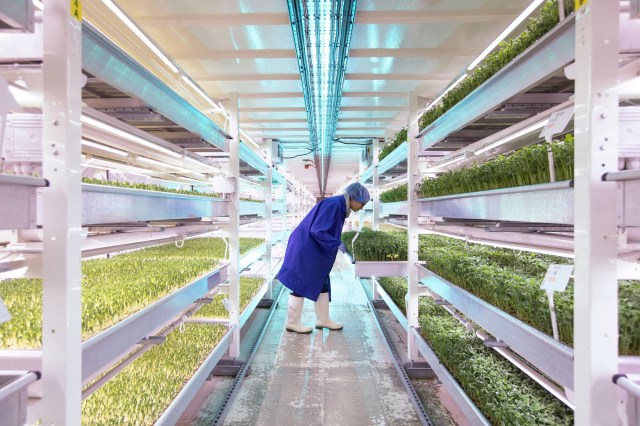 Why high-rise farms could save the world