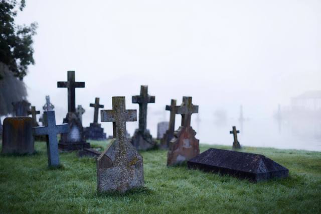 Will the internet reawaken the dead?