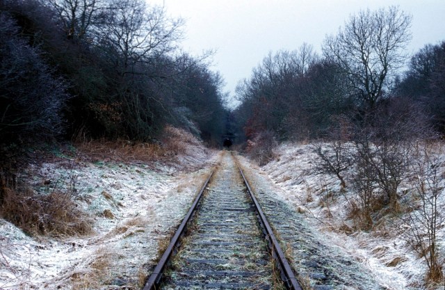 It’s time to reverse the Beeching Axe