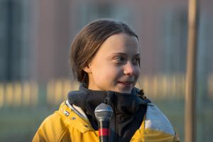 Greens need to starting talking solutions