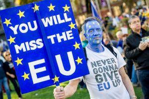 The seven stages of Remainer grief