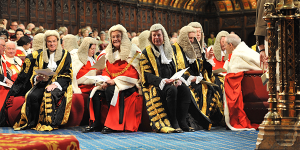 The House of Lords should become the Future Chamber