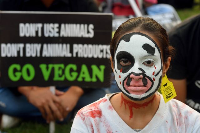 Good news for cows, but not so much for the soil (Photo by Amal KS/Hindustan Times via Getty Images)