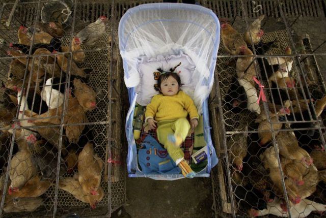 La OMS nos ha fallado nuevamente