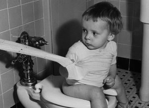 The toilet paper crisis is just bog-standard capitalism