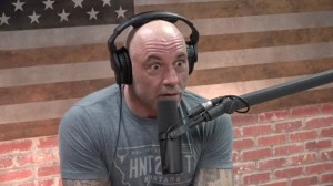 Is Joe Rogan right about young men and video games?