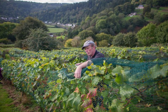 Why Britain needs a peasants’ revolt