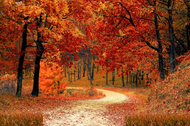 In praise of autumn, the best of seasons