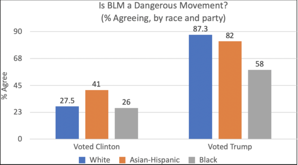 BLM divides white Americans more than anyone else - The Post