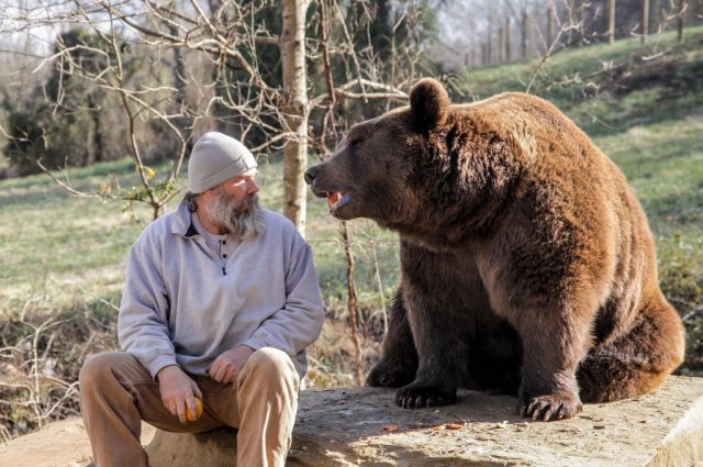 What if you want to feed the bears, but your neighbour is scared of them? Brenton Oechsle / Barcroft Media / Barcroft Media via Getty Images