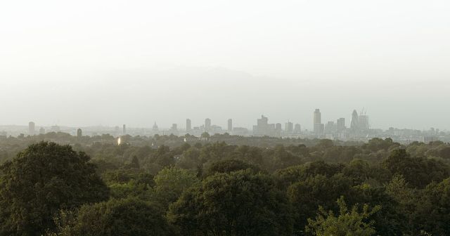 What gardening taught me about London’s liberal elite