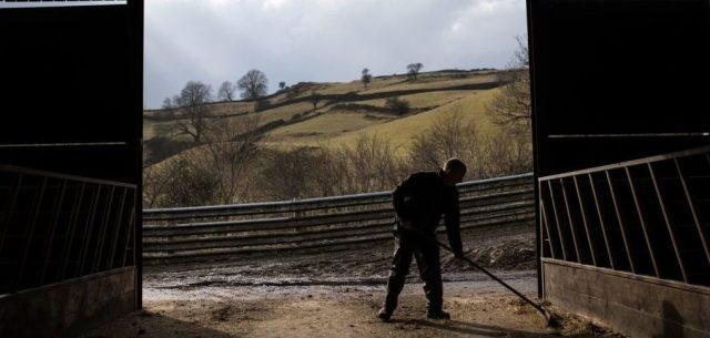 Brexit is a betrayal of Britain’s farmers