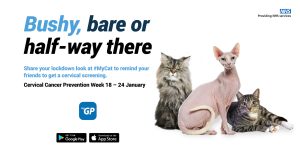 A public health campaign based on a pussy pun — really?