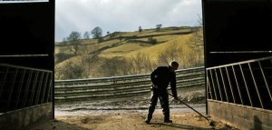 Will we ever return to our rural roots?