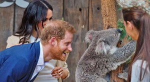 Prince Harry has swapped one zoo for another