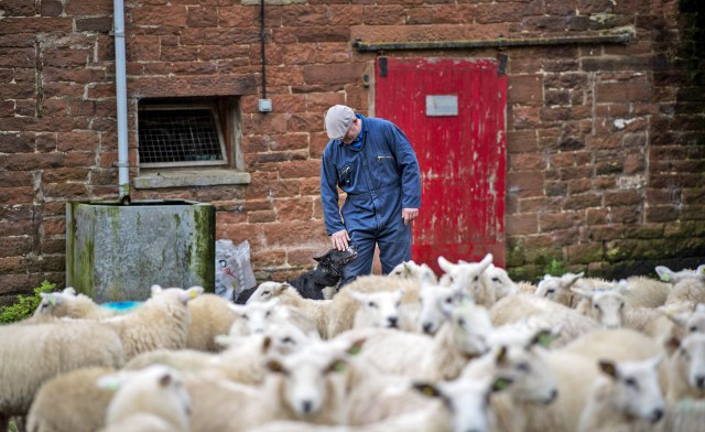 Farmers will have to intensify or die. Photographer: Bethany Clarke/Bloomberg via Getty Images