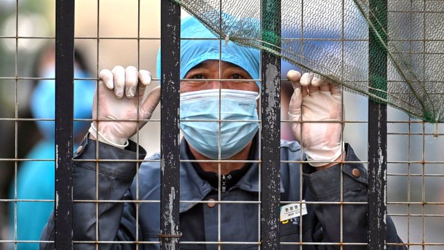 Is this proof of lab leak lies?