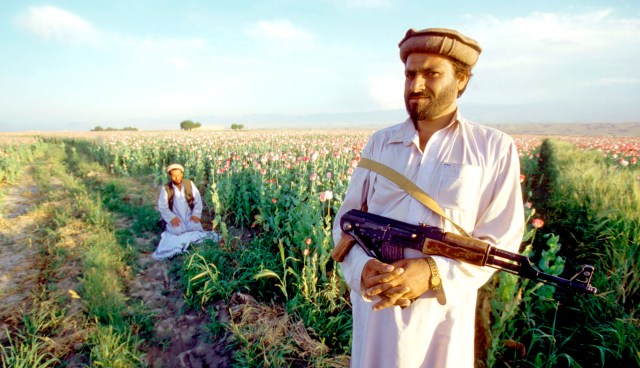 Heroin will decide the Taliban’s fate