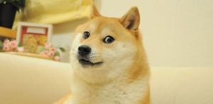 You need to know about the Doge meme NFT