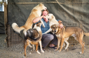 We need more Pen Farthings