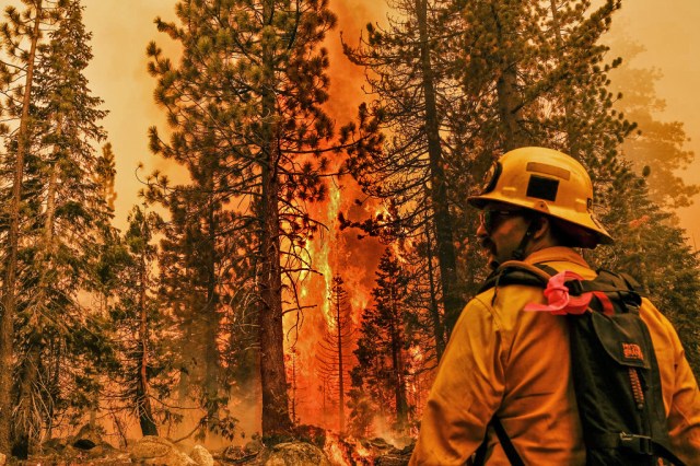 Climate change is no catastrophe