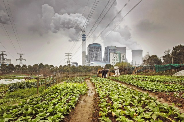 Farming depends on the 'whale fall' Credit: Qilai Shen/Bloomberg/Getty