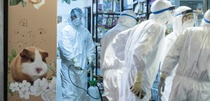 What next after the Hong Kong Hamstercide?