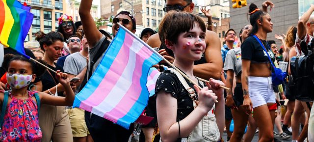 Why the Tavistock had to fall