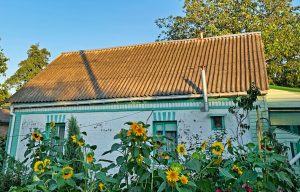 The Bucha I knew and loved