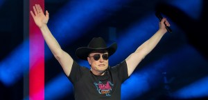 Calm down, liberals: Elon Musk is no threat to democracy (yet)