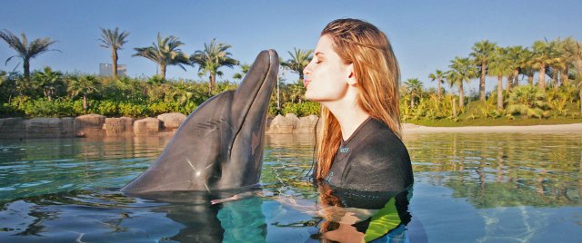 What do dolphins feel? (Getty Images)