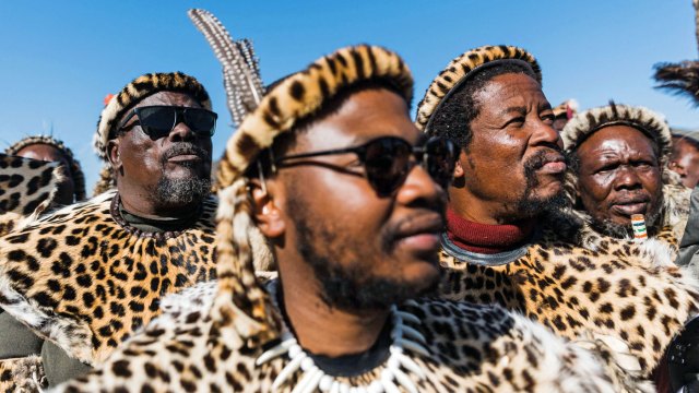 The plot against the Zulu King