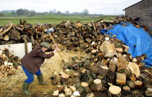 Firewood: the premodern solution to Britain's energy crisis