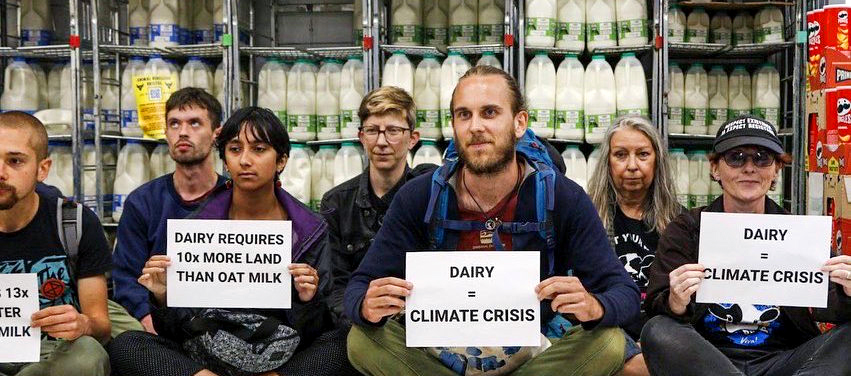 The Untold Truth Of Oatly