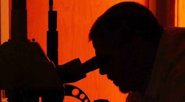 Why have scientists stopped taking risks?