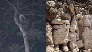 Is Mexico's President right to think that elves exist?