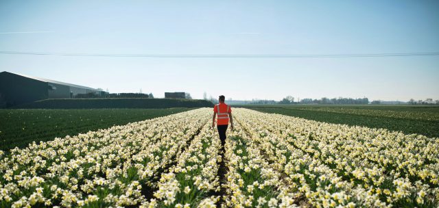 The nuclear war for Lincolnshire
