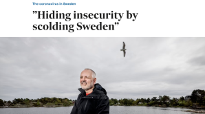 Norway's top epidemiologist: Sweden handled Covid well