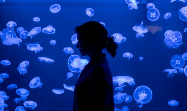 The invisibility of autistic girls