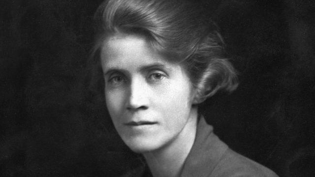 The snake within the suffragette movement