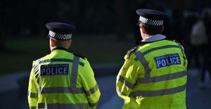 Can pluralism be low-crime?