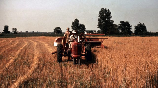 Rural America has lost its soul