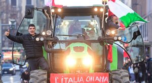 Italian farmers rise up against 'establishment' Meloni