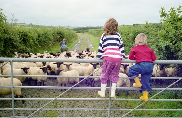 Devon’s children are being left behind