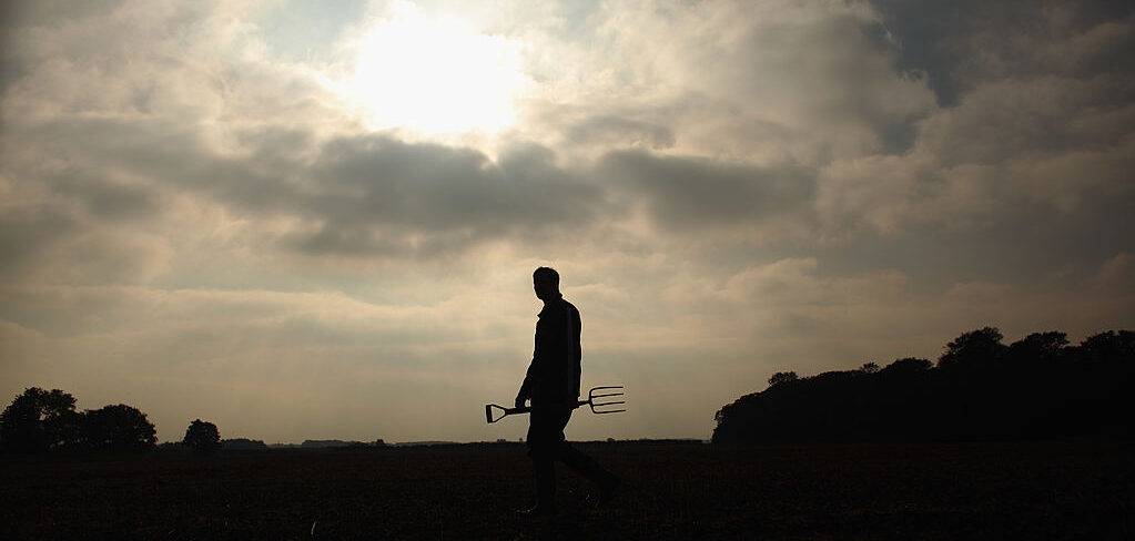 Post-Brexit farming isn't all milk and honey. Credit: Getty